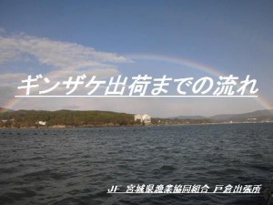hiramoto_08